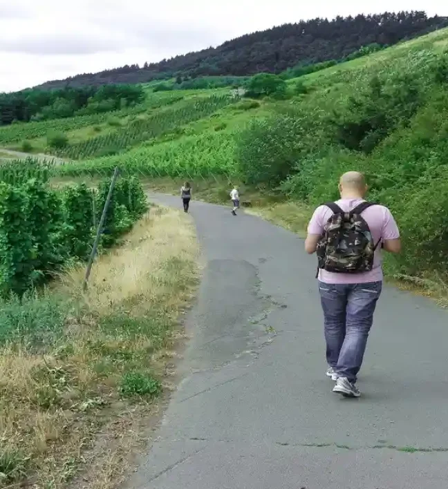 Beste Weinwanderwege Pfalz