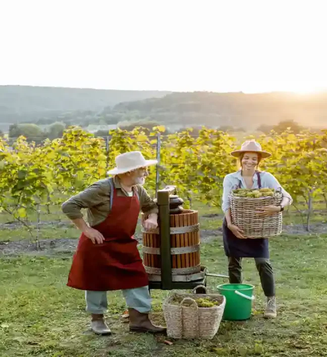 Dauer einer Weinwanderung