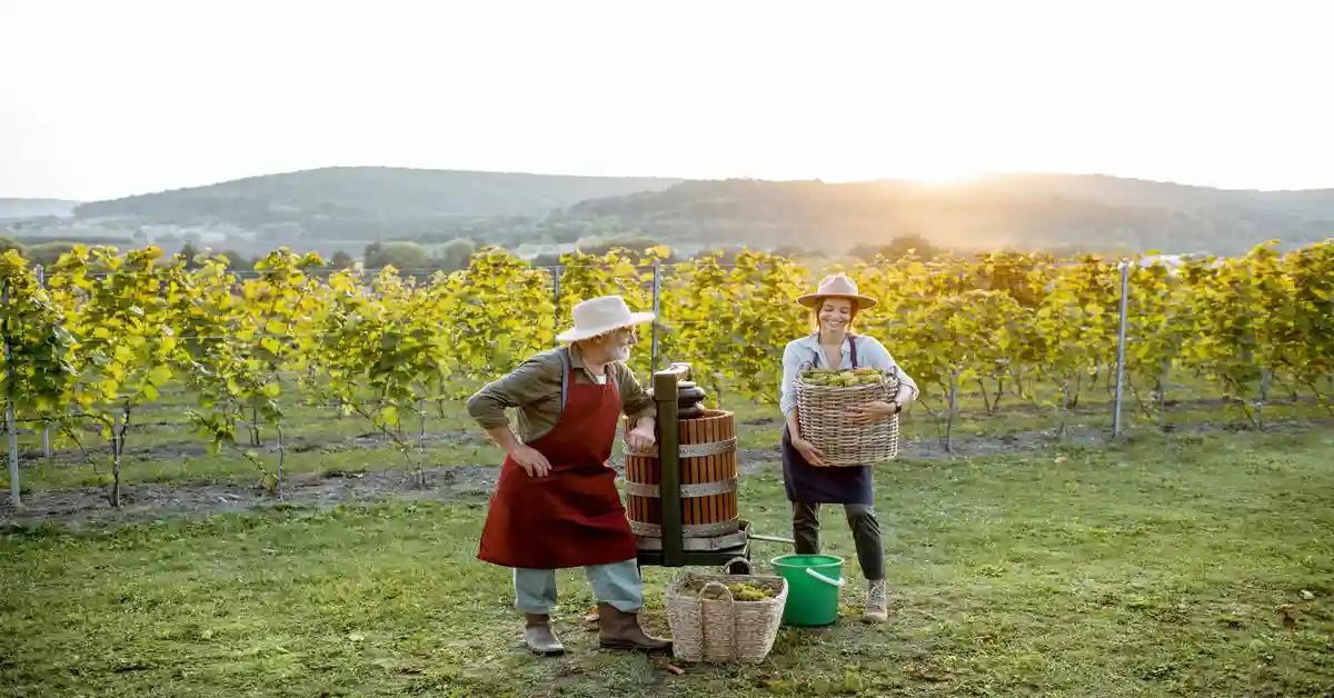 Dauer einer Weinwanderung